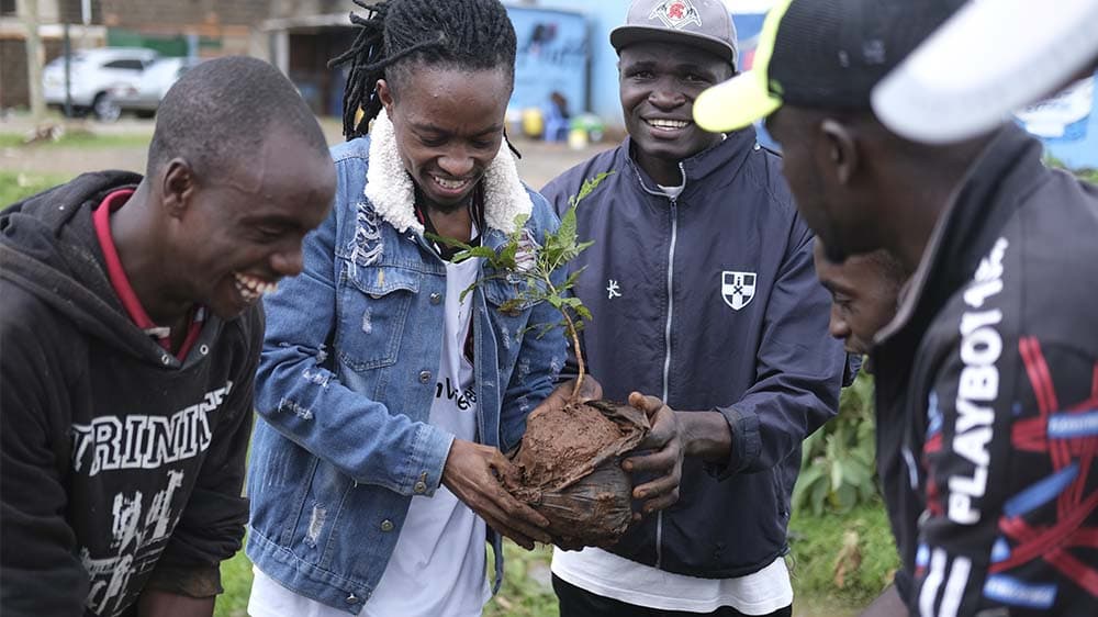 Ein Feiertag zum Bäumepflanzen in Kenia