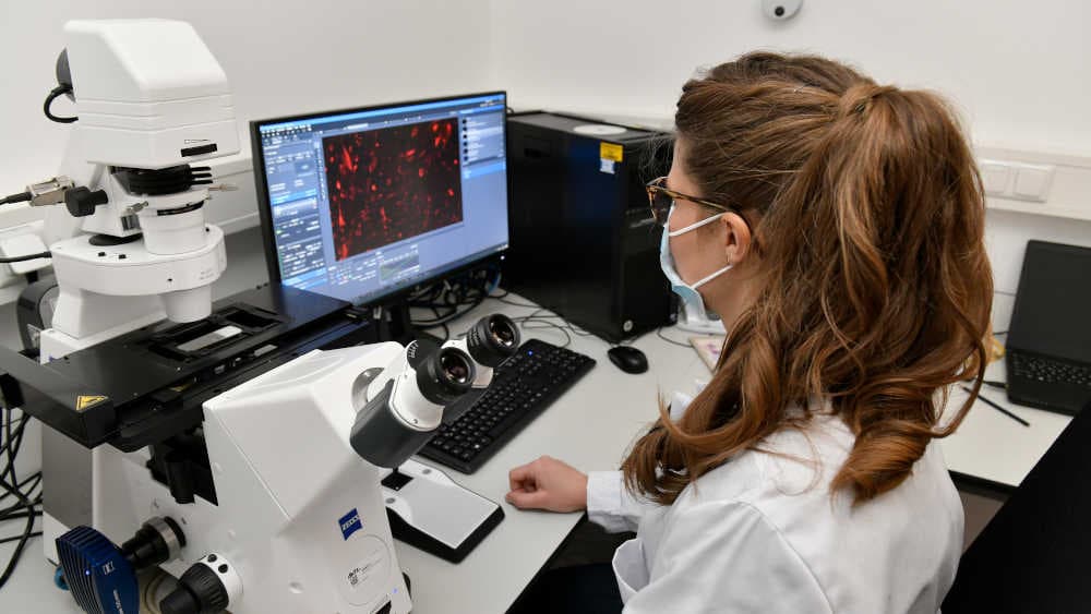 Umfrage: Krebs bleibt meist gefürchtete Krankheit der Deutschen