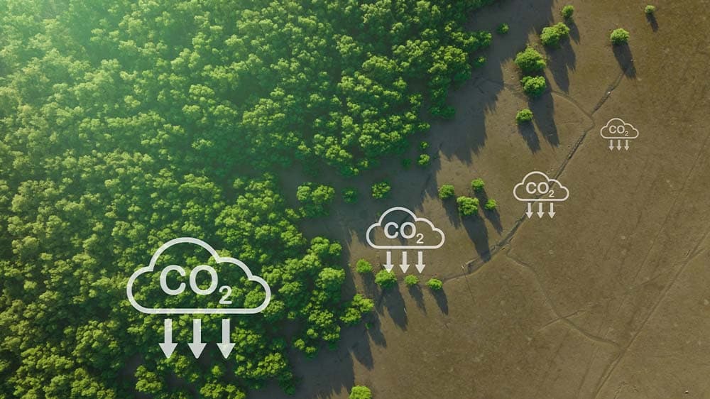 Neue Pfade im Klimaschutz