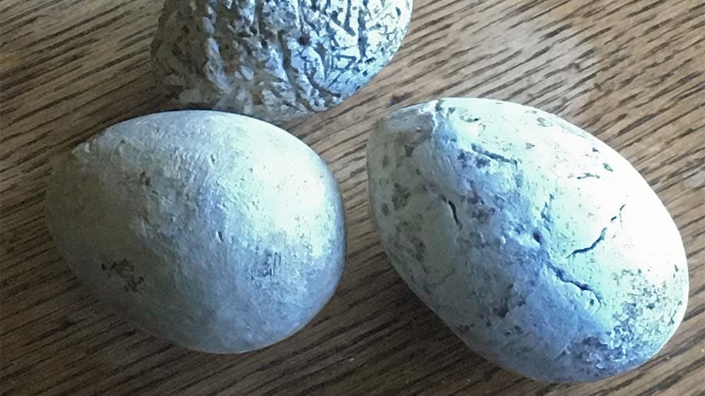 Eier waren einst auch eine Grabbeigabe