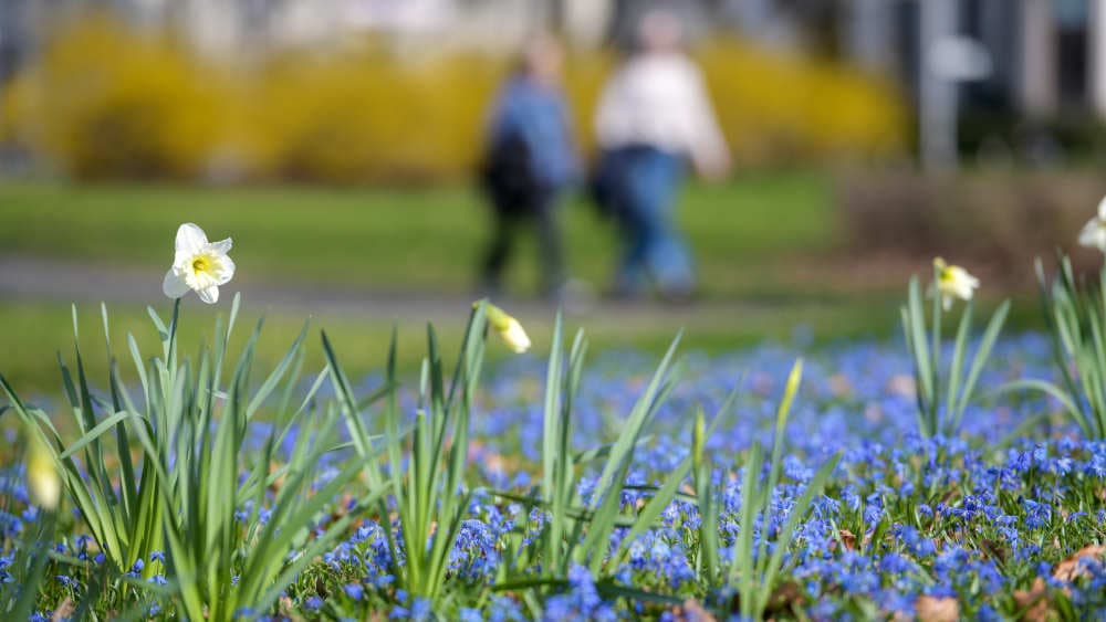 Umfrage: Mehrheit verbindet Ostern eher mit Frühling