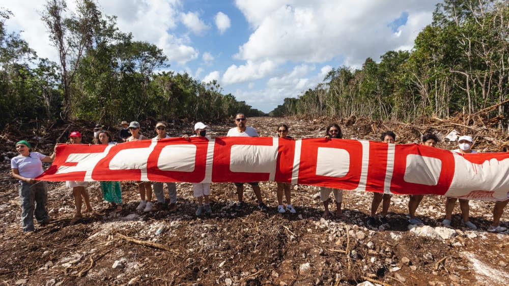 Mexiko: 20 Umweltschützer in einem Jahr ermordet