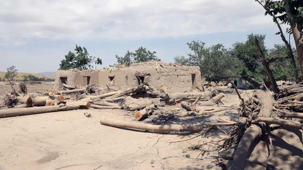 Prognose: Zahl der Hungernden in Afghanistan steigt