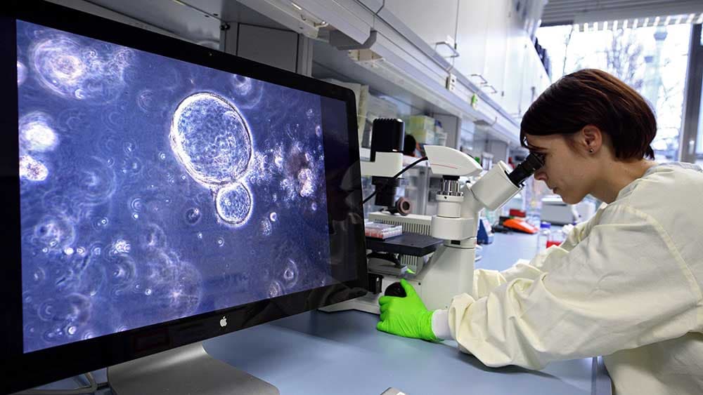 Krebshilfe mahnt weitere Forschung an