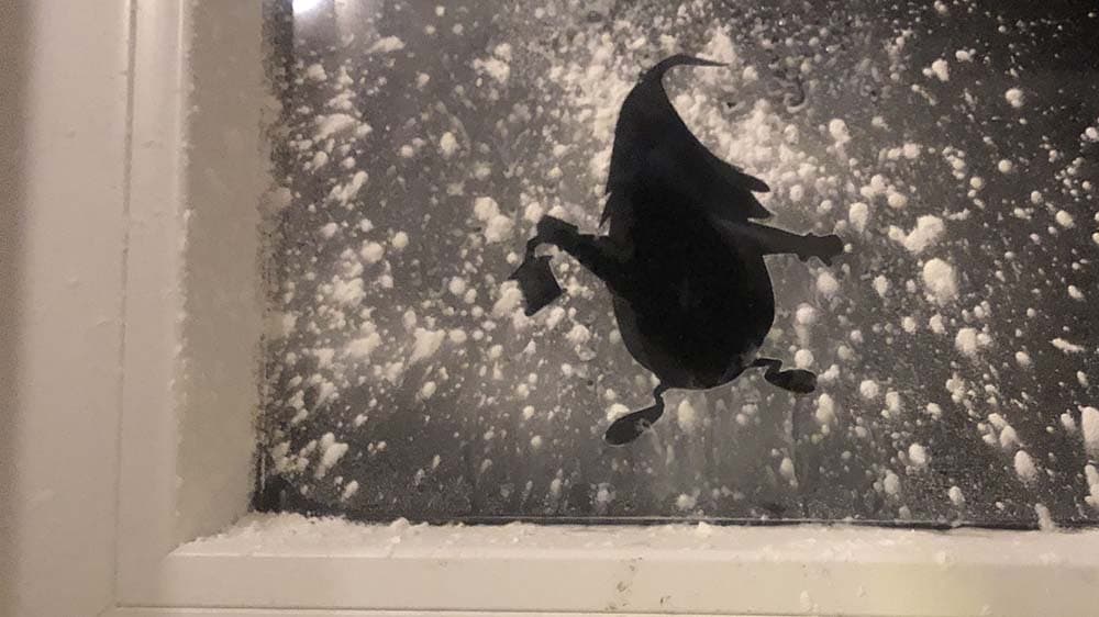 Weihnachten: Wie Deutschland feiert