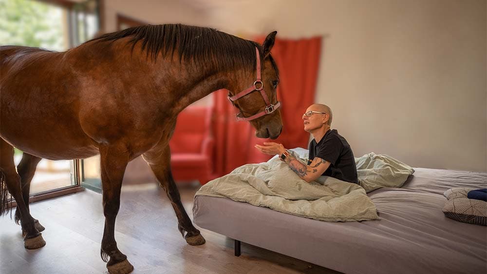 Film-Tipp: Fremde, die zu Freunden werden