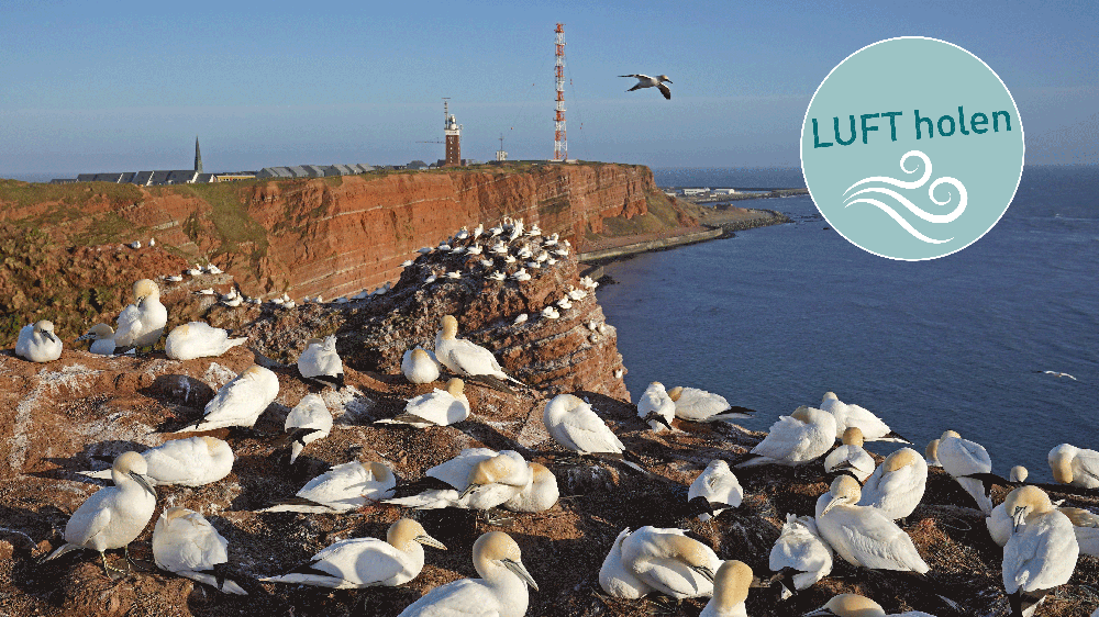 Fastenmotto: Nordsee gegen Panik