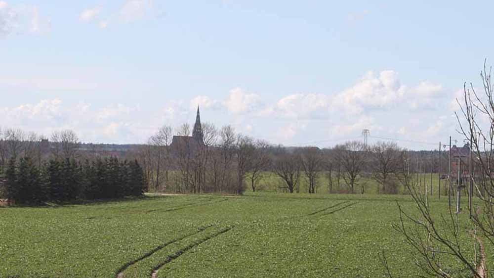 “Demmin ist mehr”: Eine Stadt stellt sich ihrem Trauma
