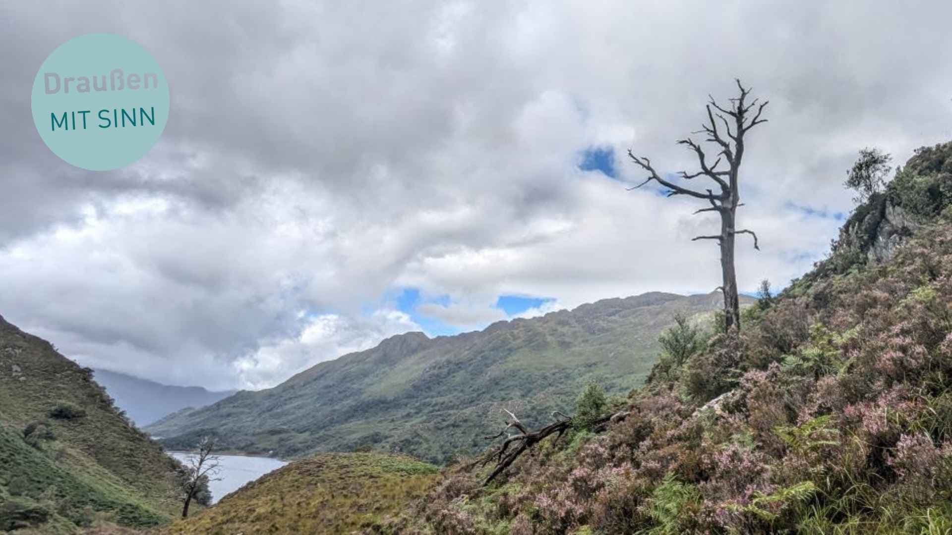 Sommerreihe: Von Hamburg in die schottische Wildnis