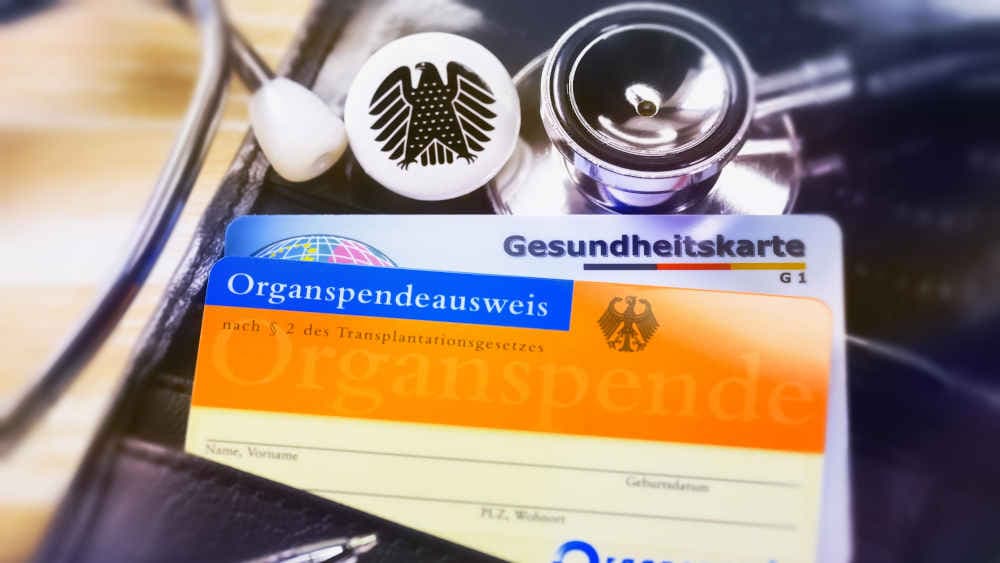 Organspendezahlen 2025 weitgehend stabil