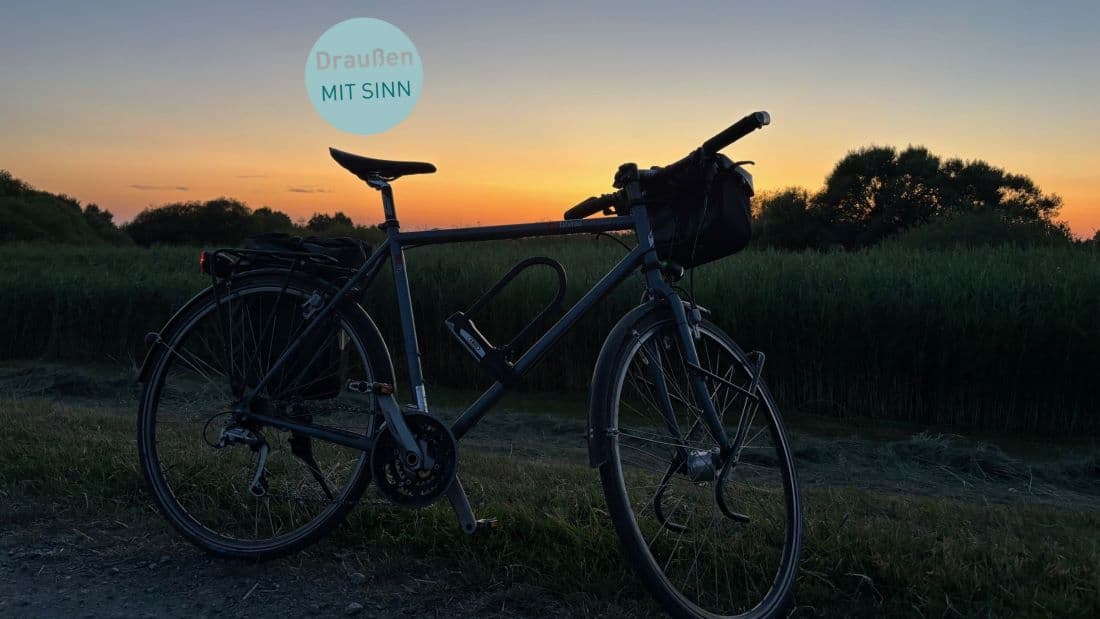 Radtour zwischen Katzen und Wölfen