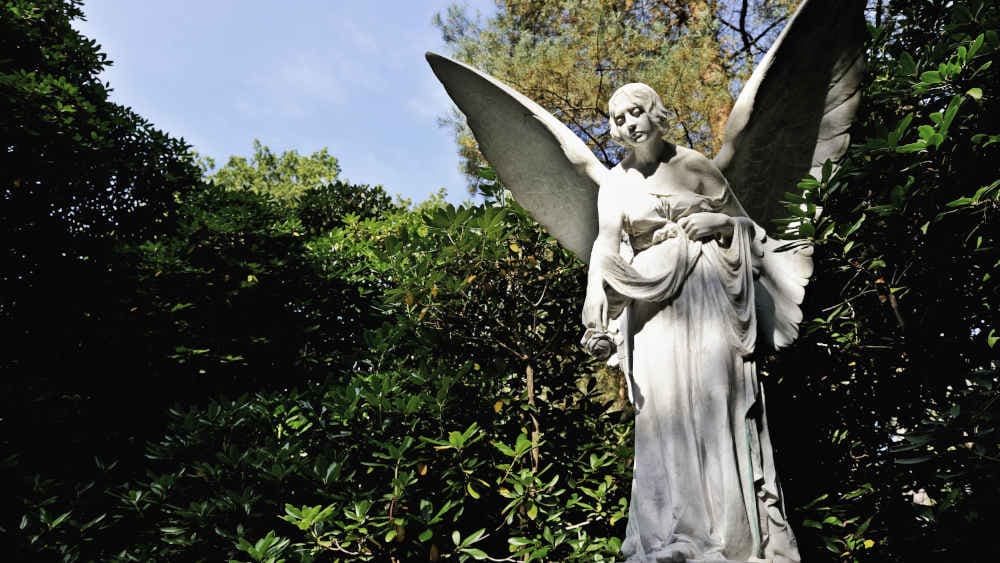 Zwischen Geldnot und Naturschutz: Wie Friedhöfe zu grünen Rückzugsorten werden