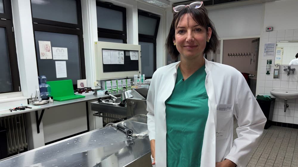 Dem Tod auf der Spur