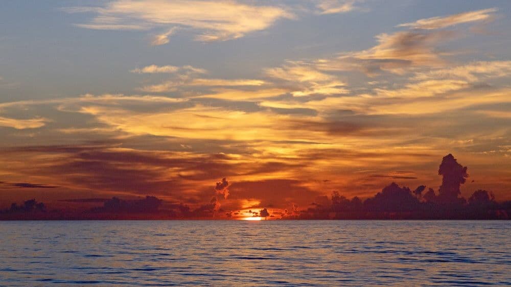 Kolumne: Trans versus Schöpfung?!