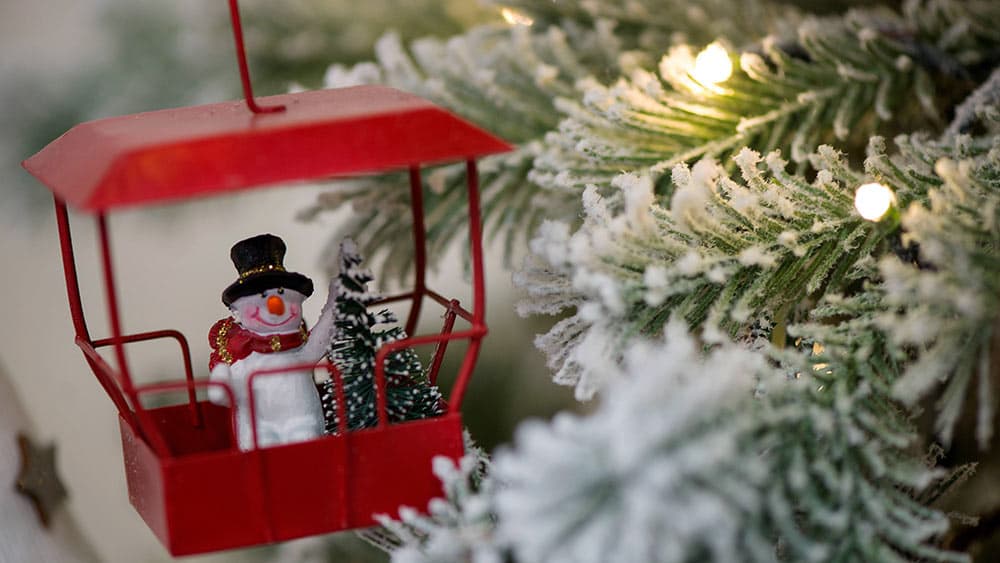 Ja, ist denn heut‘ schon Weihnachten?