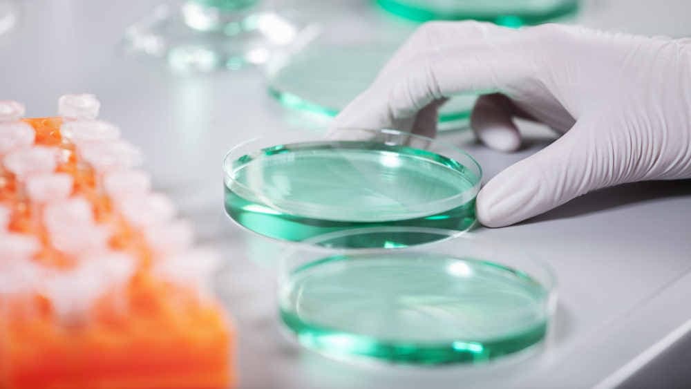 Fachverband für mehr geschlechtssensible Forschung