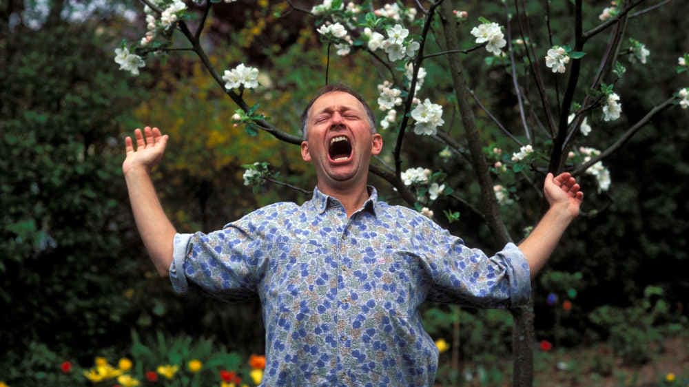 Studie: Frühjahrsmüdigkeit lässt sich nicht empirisch belegen